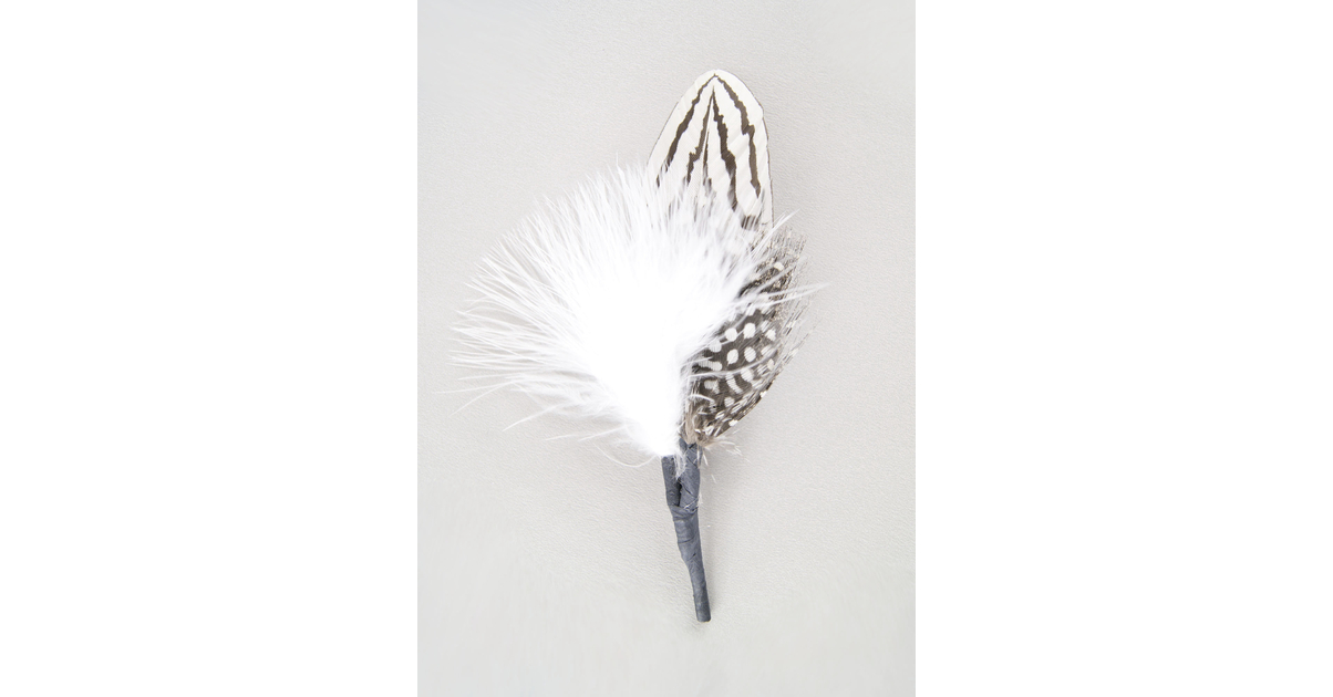6 Flèches Carbone 30 Pouces 600 – Plumes Dinde Multicolores Pour Chasse/tir à L’arc Recourbé